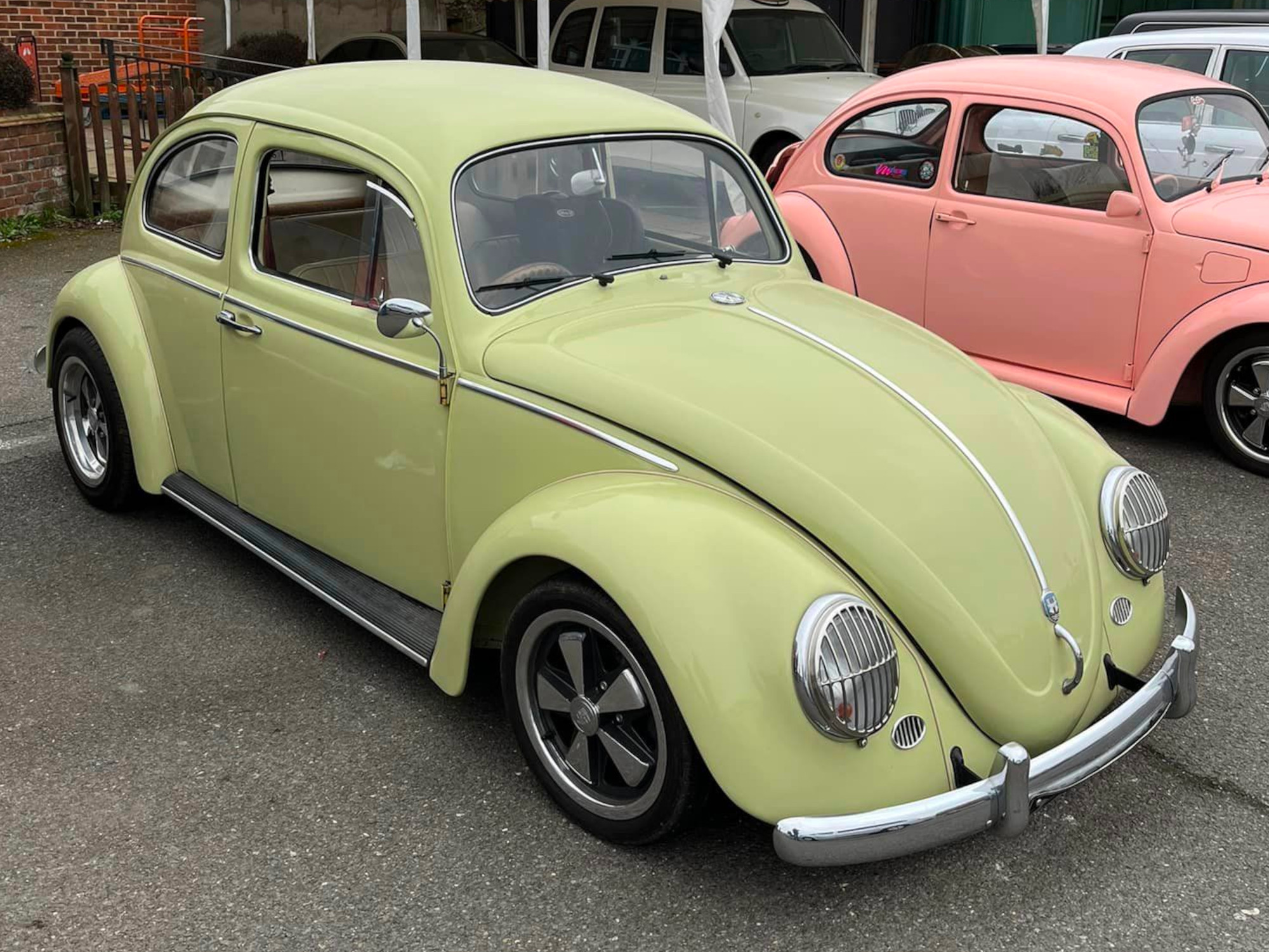 MB Beetle